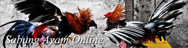 Situs Agen Judi Sabung Ayam Online Terpercaya - Asiabetking.id